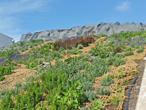 Pitched green roof with nets made of coconut fibres